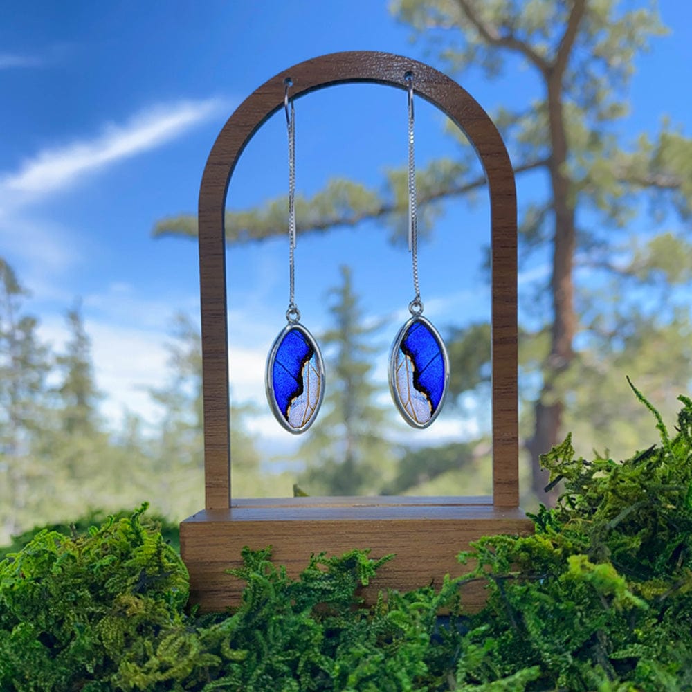 My Store Earrings Combo Morpho & Morpho Sulkowskyi Oval Pendant on Threader | Handmade Boho Earrings | Gift for Her | Brilliant Colors | Real Wings