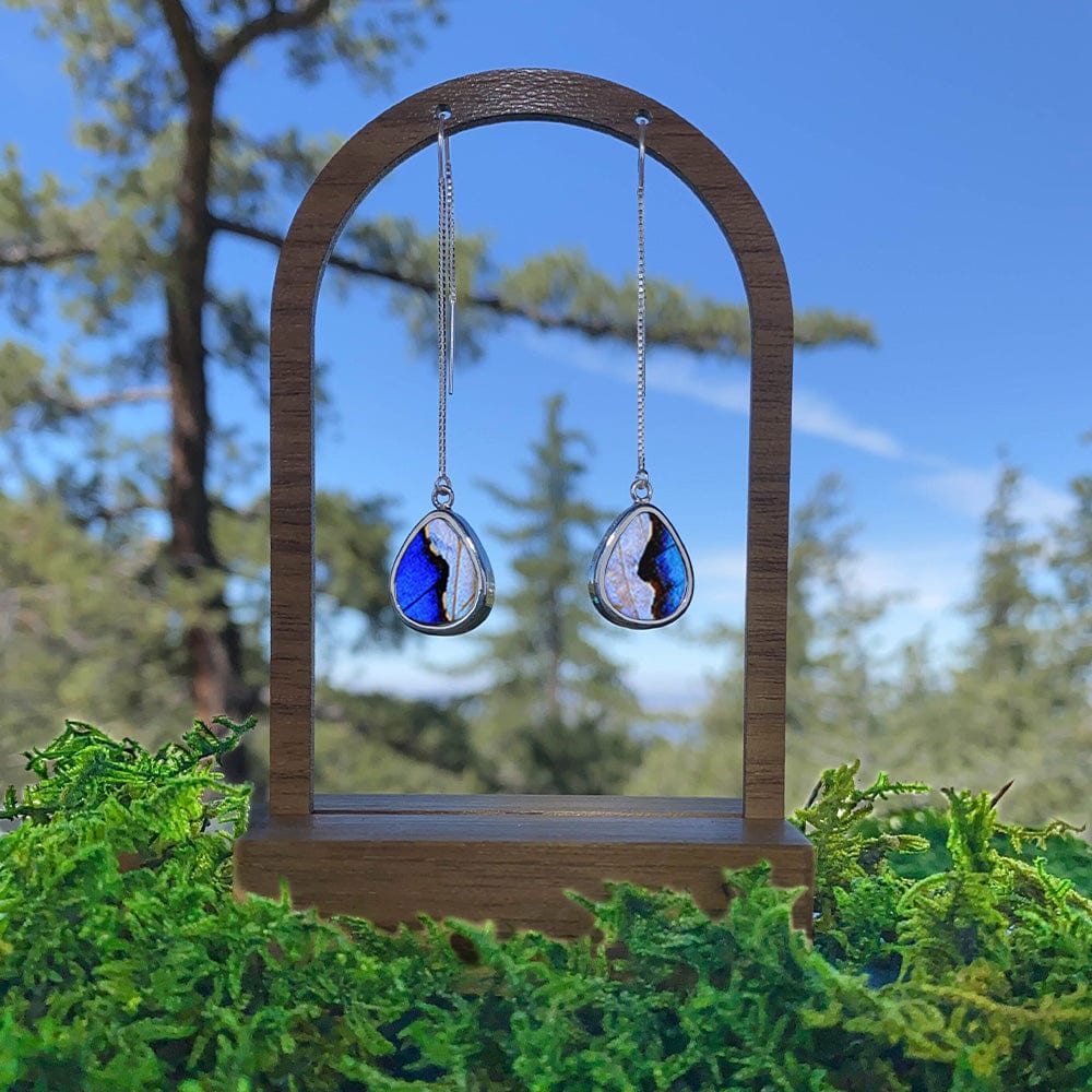 My Store Earrings Combo Morpho & Morpho Sulkowskyi Teardrop Pendant on Threader | Boho Earrings | Gift for Her | Statement Piece | Real Wings | Insect Jewelry