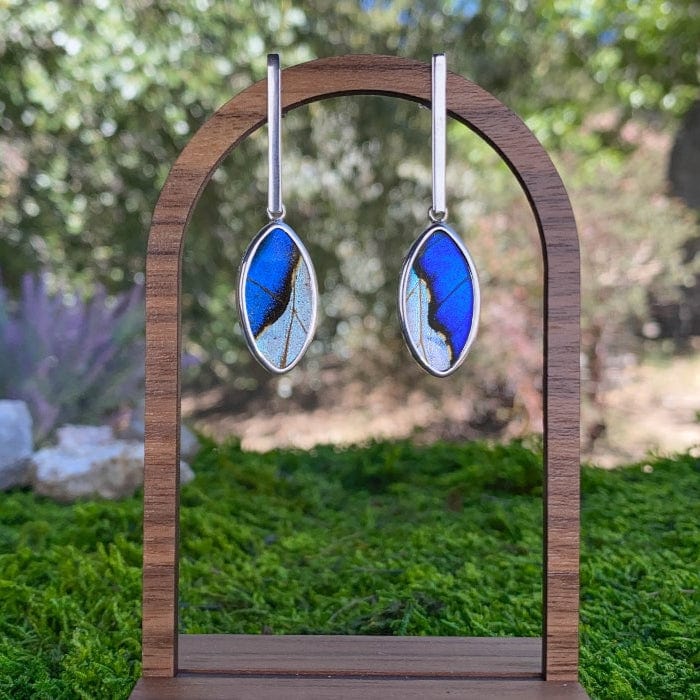 My Store Earrings Combo Real Morpho And Morpho Sulkowskyi Butterfly Oval Pendant On Flat Bar Post Earrings In Sterling Silver