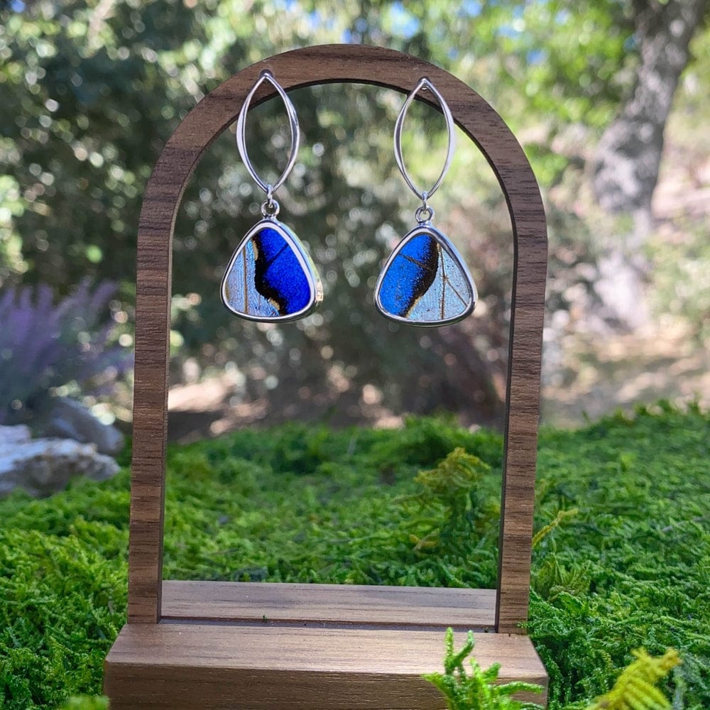 My Store Earrings Combo Real Morpho And Morpho Sulkowskyi Butterfly Triangle Pendant On Marquis Post Earrings In Sterling Silver