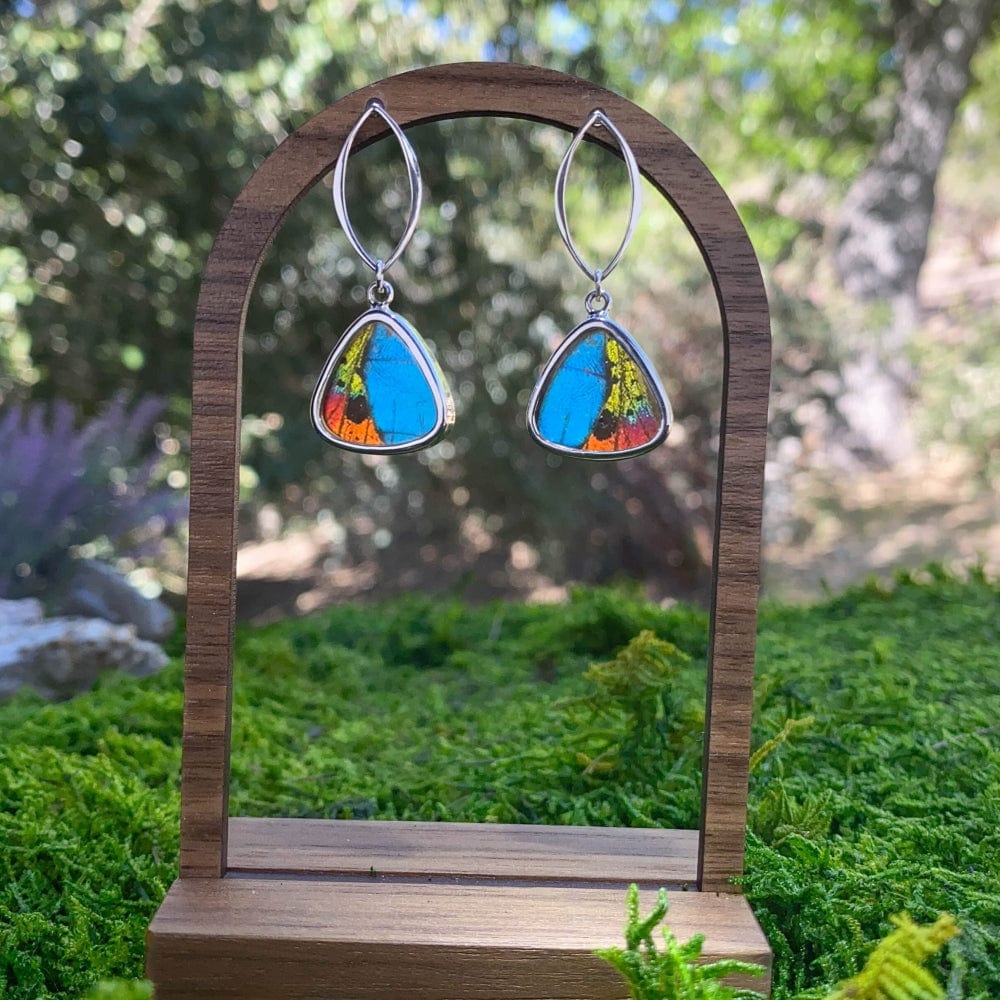 My Store Earrings Combo Real Urania Ripheus And Morpho Butterfly Triangle Pendant On Marquis Post Earrings In Sterling Silver