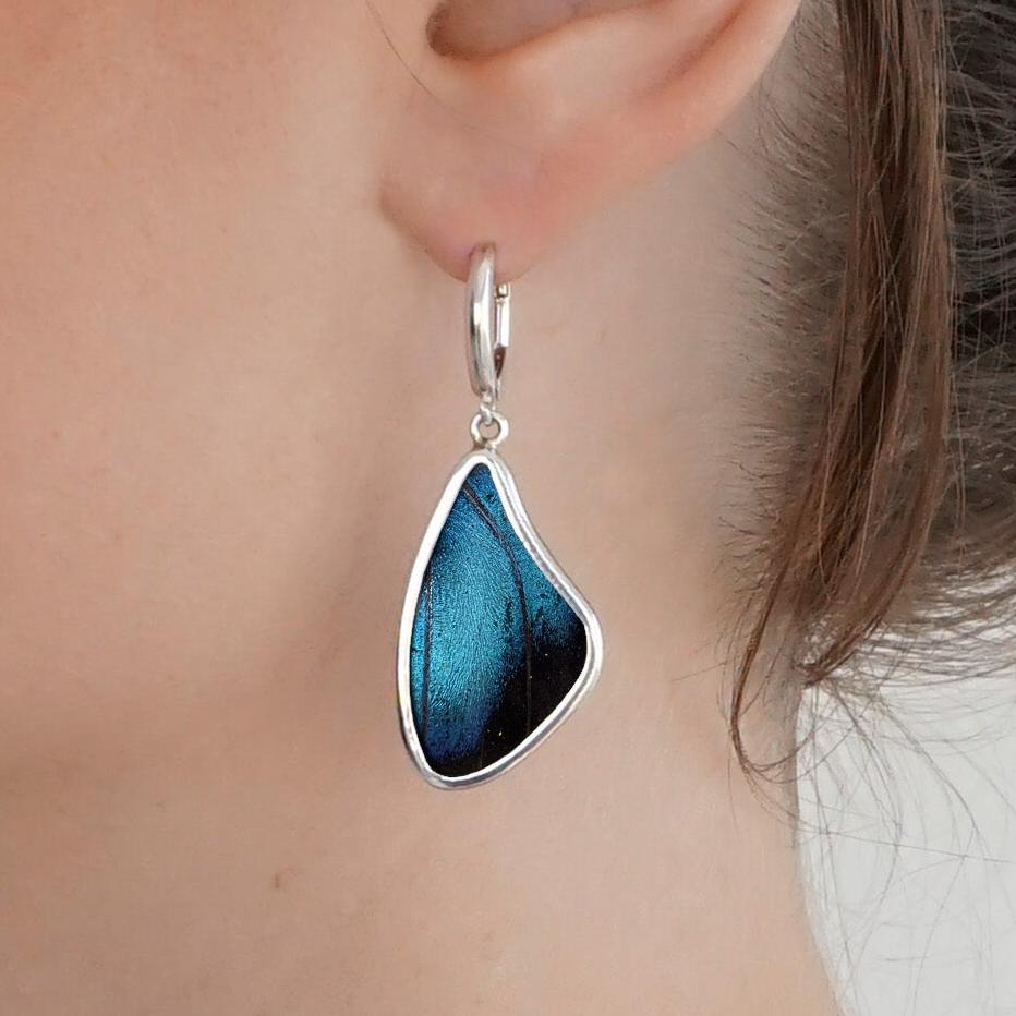 My Store Earrings Large Wing-Shaped Pendant Earrings on Leverback | Real Morpho Achilles Butterfly | Sterling Silver