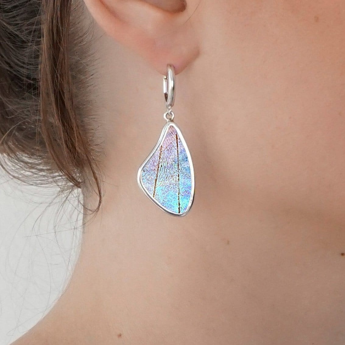 My Store Earrings Large Wing-Shaped Pendant Earrings on Leverback | Real Morpho Sulkowskyi Butterfly | Sterling Silver