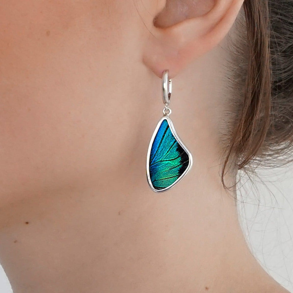 My Store Earrings Large Wing-Shaped Pendant Earrings on Leverback | Real Prepona Butterfly | Sterling Silver