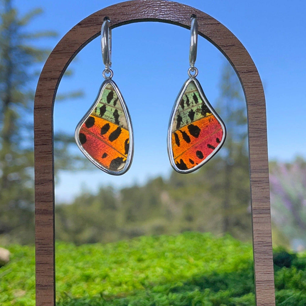 My Store Earrings Large Wing-Shaped Pendant Earrings on Leverback | Real Urania Ripheus Butterfly - Sunset Series | Sterling Silver