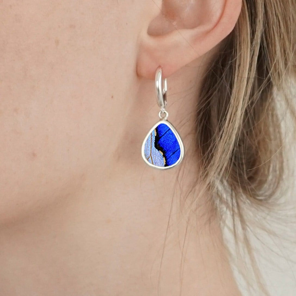 
                  
                    My Store Earrings Medium Teardrop-Shaped Pendant Earrings on Leverback | Real Morpho & Sulkowskyi Butterflies | Sterling Silver
                  
                