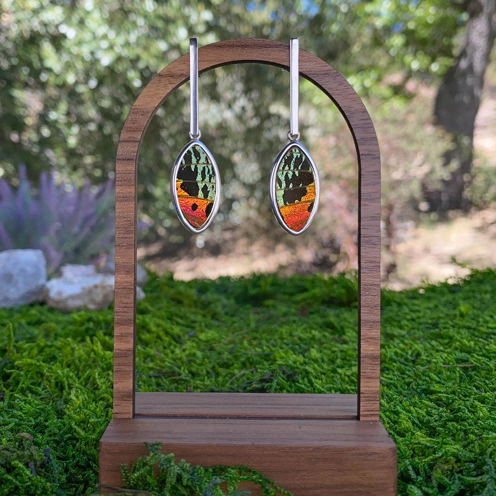 My Store Earrings Oval Pendant Earrings on Flat Bar Post | Real Urania Ripheus Butterfly - Sunset Series | Sterling Silver