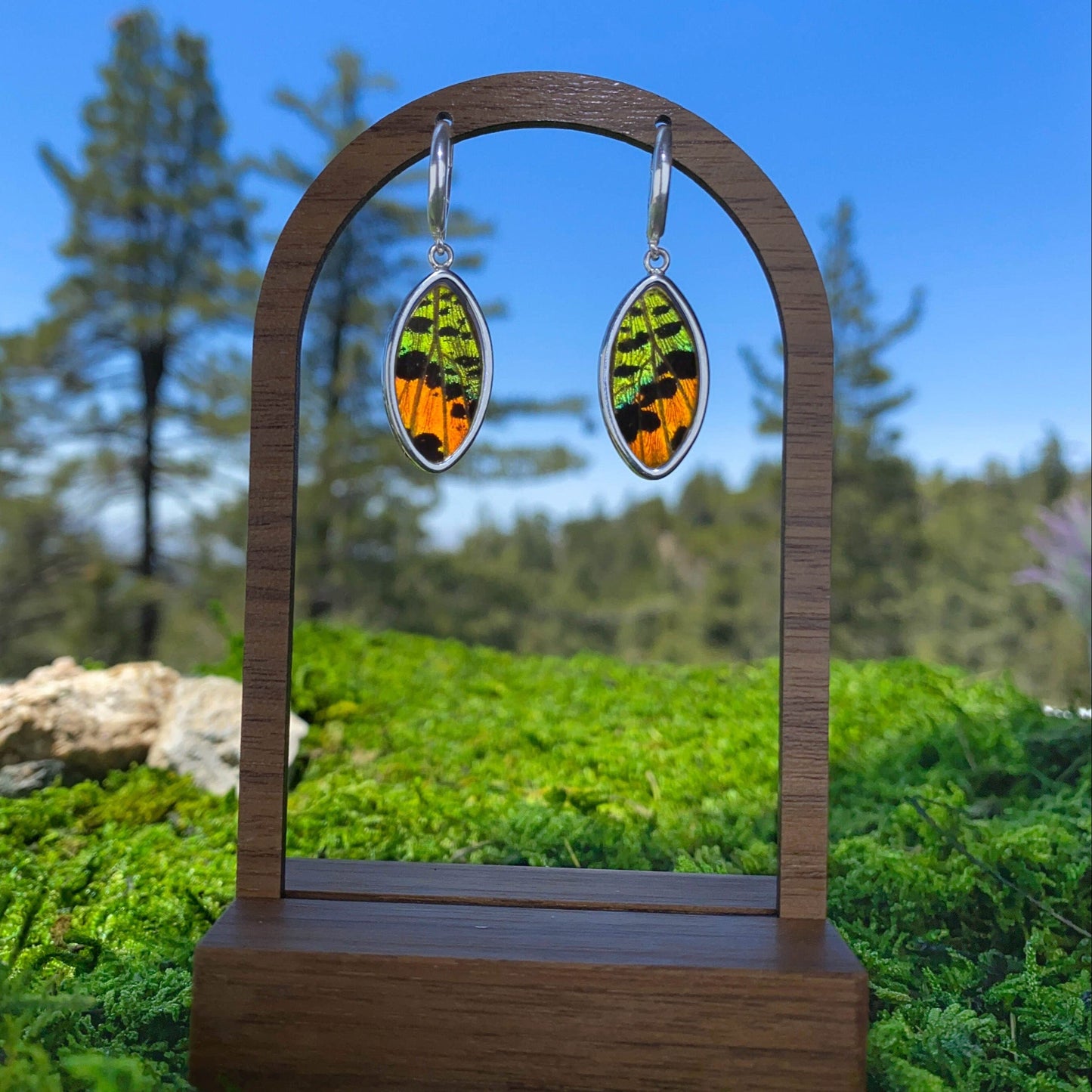 My Store Earrings Oval Pendant Earrings on Leverback | Real Urania Ripheus Butterfly - Sunrise Series | Sterling Silver