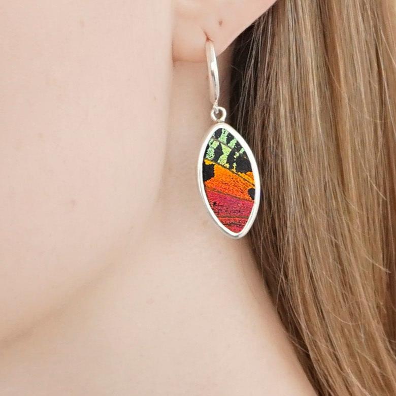 My Store Earrings Oval Pendant Earrings on Leverback | Real Urania Ripheus Butterfly - Sunset Series | Sterling Silver