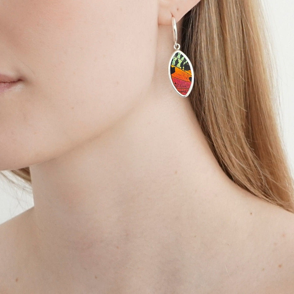 
                  
                    My Store Earrings Oval Pendant Earrings on Leverback | Real Urania Ripheus Butterfly - Sunset Series | Sterling Silver
                  
                