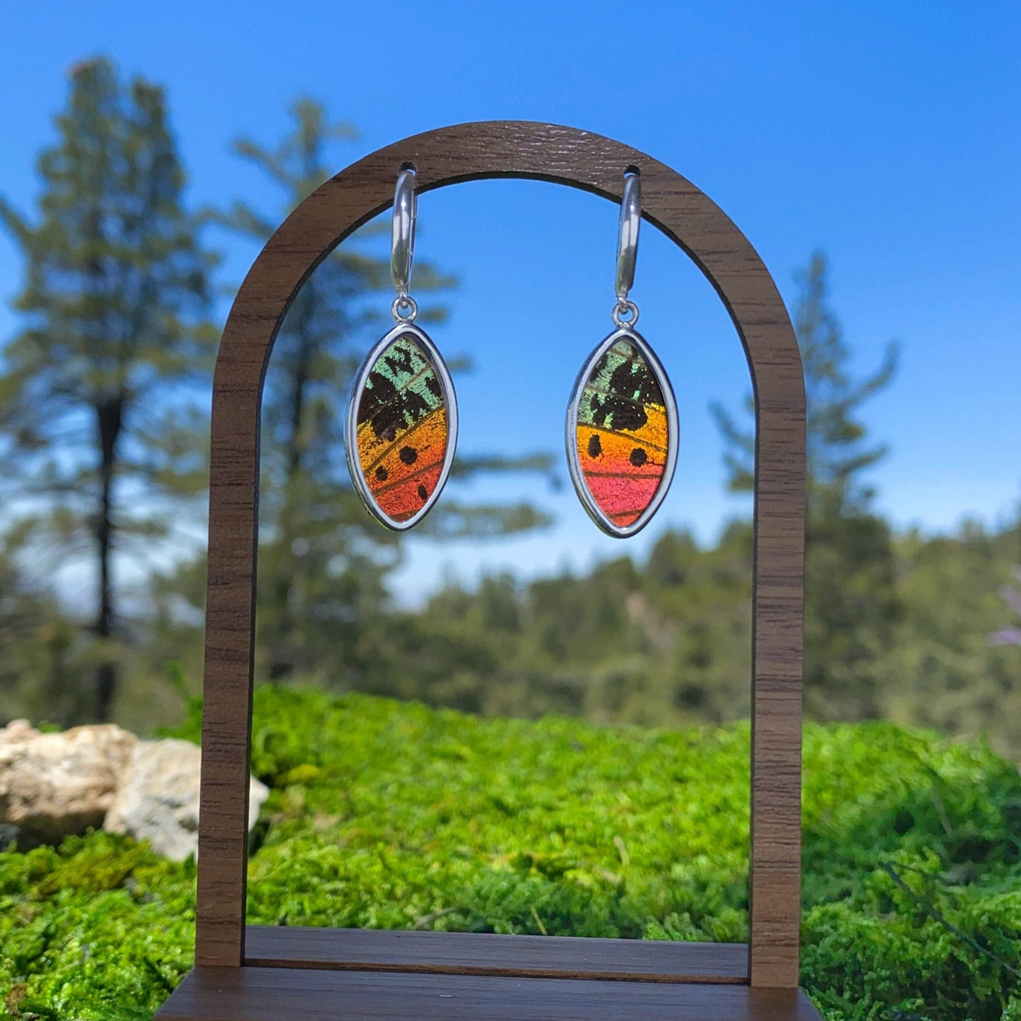 My Store Earrings Oval Pendant Earrings on Leverback | Real Urania Ripheus Butterfly - Sunset Series | Sterling Silver