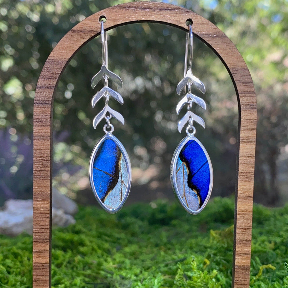 My Store Earrings Oval Pendant Earrings with Leaves on Earwire | Real Morpho & Sulkowskyi Butterflies | Sterling Silver