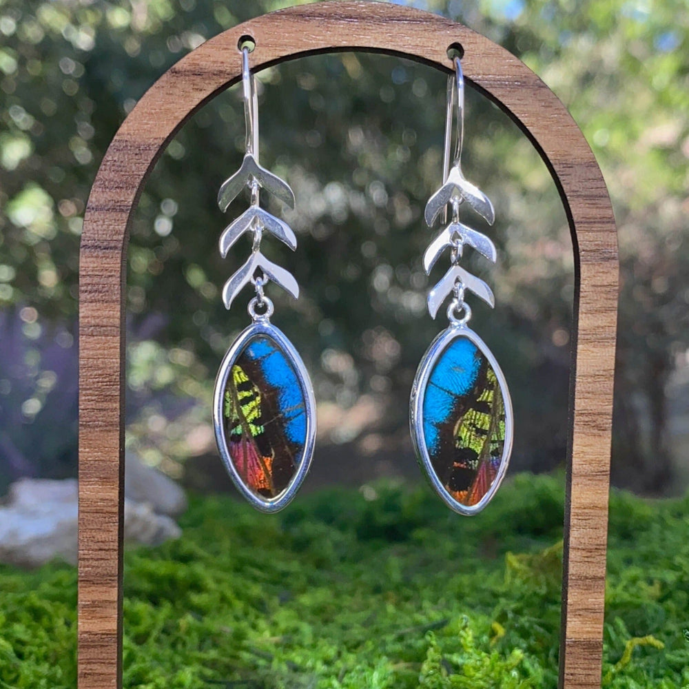 My Store Earrings Oval Pendant Earrings with Leaves on Earwire | Real Urania Ripheus and Morpho Butterfly | Sterling Silver
