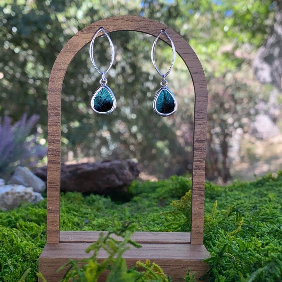 My Store Earrings Real Morpho Achilles Butterfly Teardrop Shaped Pendant On Marquis Post Earrings In Sterling Silver