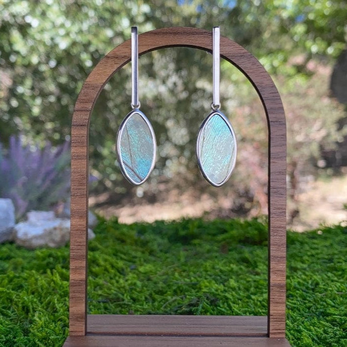 My Store Earrings Real Morpho Sulkowskyi Butterfly Oval Pendant On Flat Bar Post Earrings In Sterling Silver