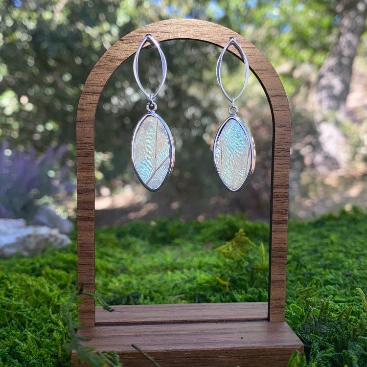 My Store Earrings Real Morpho Sulkowskyi Butterfly Oval Pendant On Marquis Post Earrings In Sterling Silver
