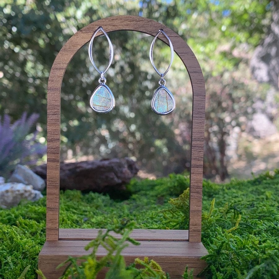 My Store Earrings Real Morpho Sulkowskyi Butterfly Teardrop Shaped Pendant On Marquis Post Earrings In Sterling Silver