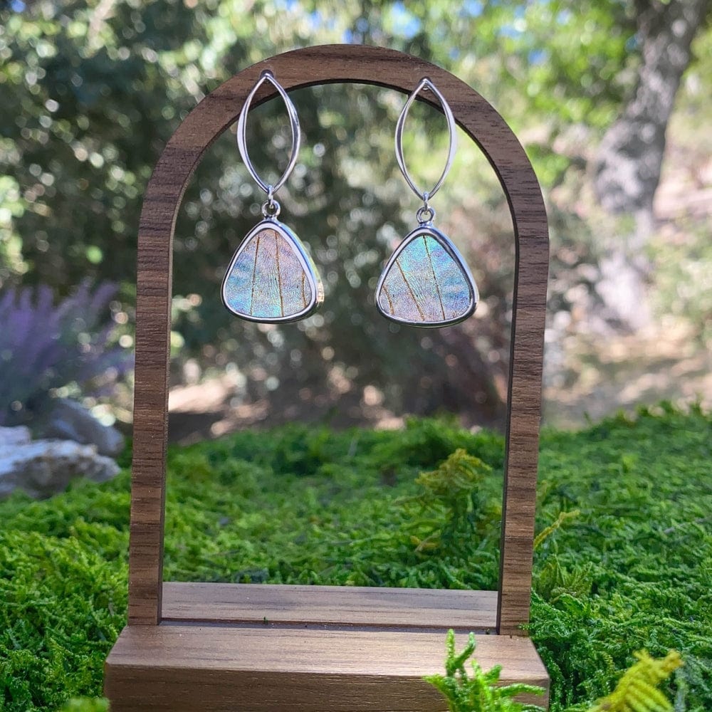 My Store Earrings Real Morpho Sulkowskyi Butterfly Triangle Pendant On Marquise Post Earrings In Sterling Silver