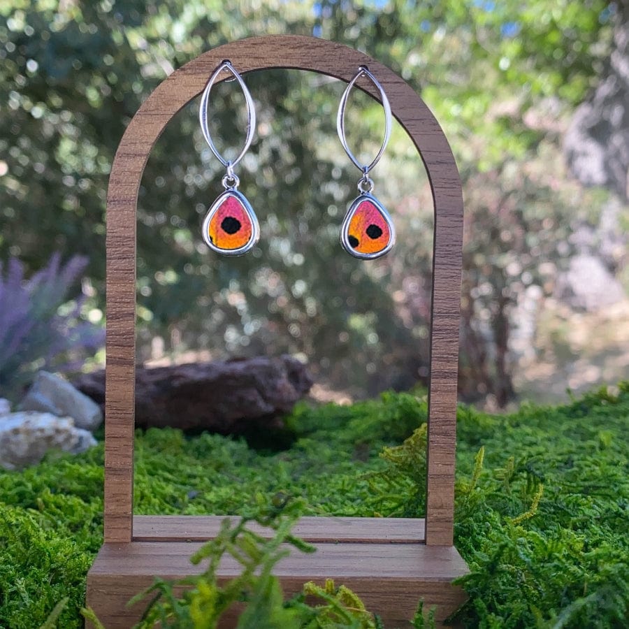 My Store Earrings Real Urania Ripheus Butterfly Dot Series Teardrop Shaped Pendant On Marquis Post Earrings In Sterling Silver
