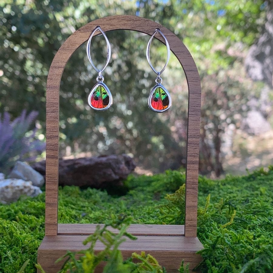 My Store Earrings Real Urania Ripheus Butterfly Teardrop Shaped Pendant On Marquis Post Earrings In Sterling Silver, Sunset Series