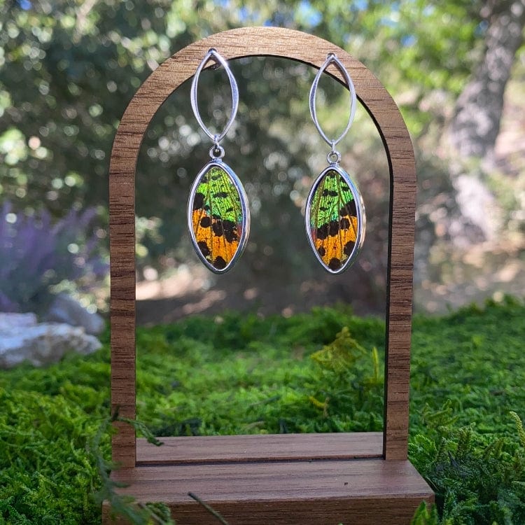 My Store Earrings Real Urania Ripheus Sunrise Series Oval Pendant On Marquis Post Earrings In Sterling Silver