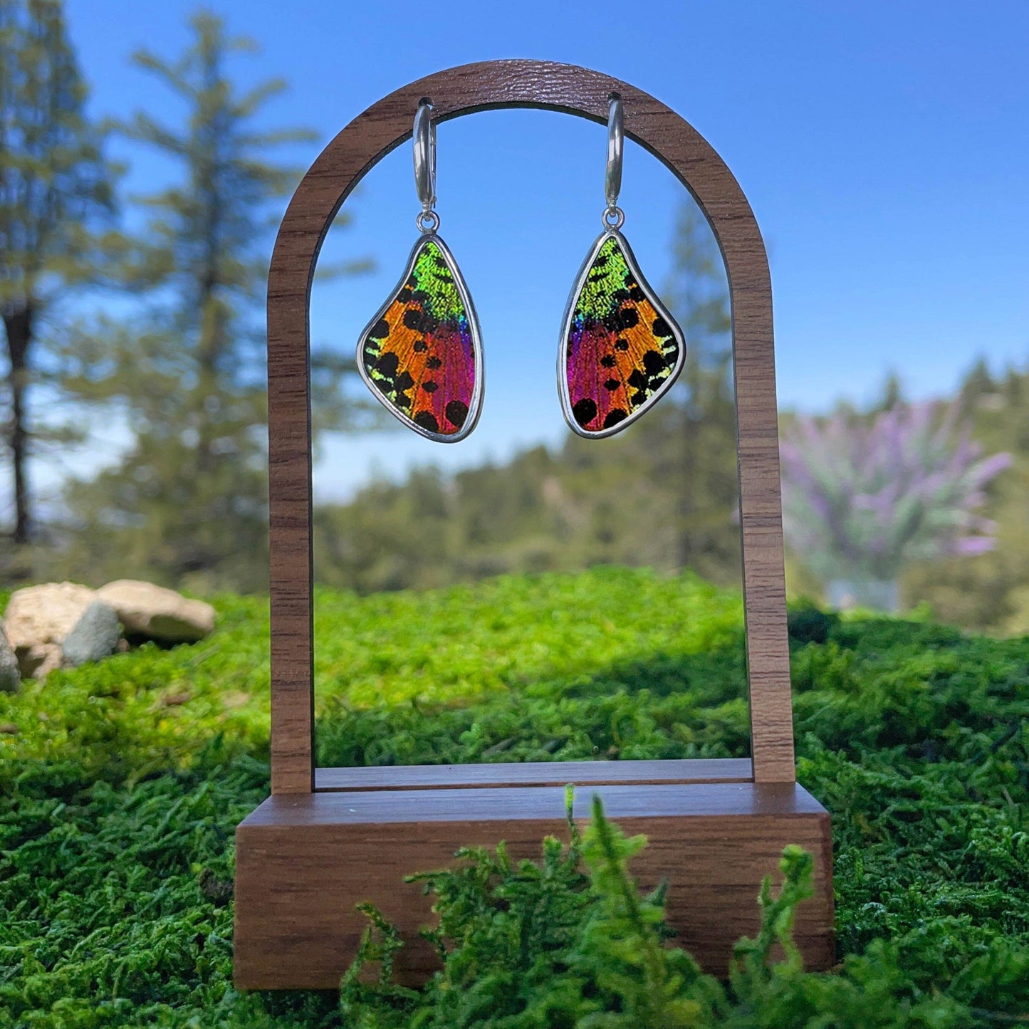 My Store Earrings Real Urania Ripheus Sunset Series Butterfly Large Wing Shaped Pendant On Leverbacks Earrings In Sterling Silver