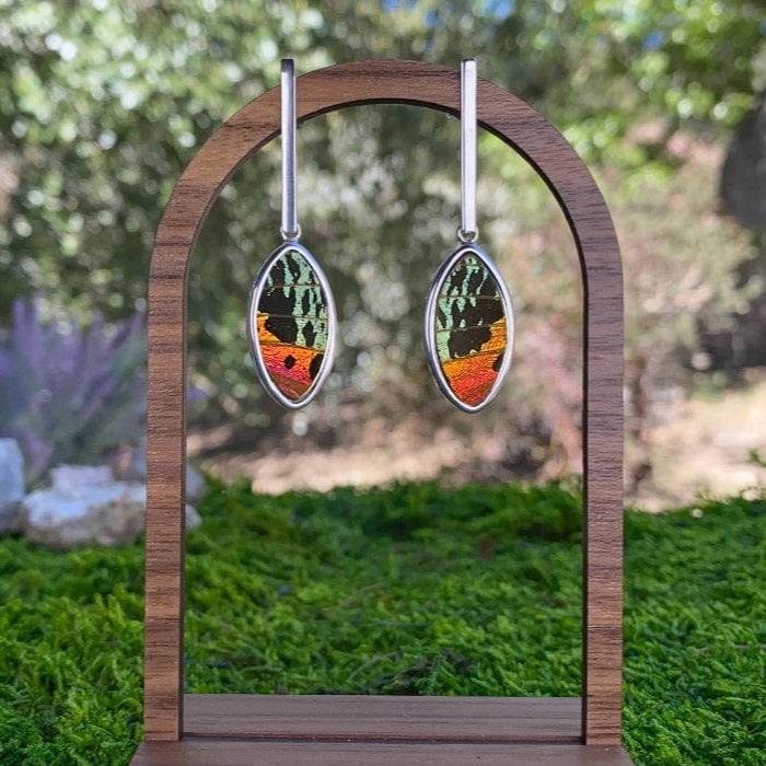 My Store Earrings Real Urania Ripheus Sunset Series Butterfly Oval Pendant On Flat Bar Post Earrings In Sterling Silver