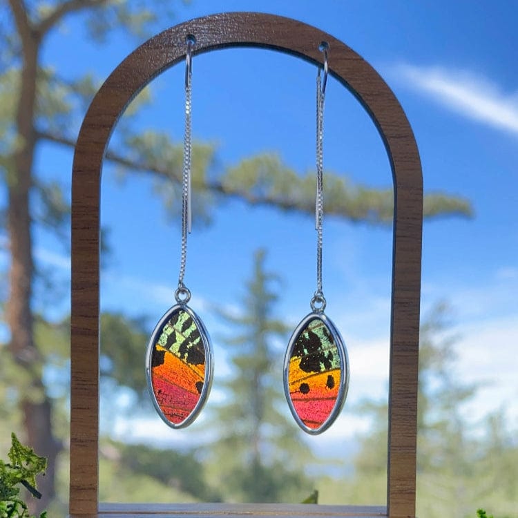 My Store Earrings Real Urania Ripheus Sunset Series Butterfly Oval Pendant On Threader Earrings In Sterling Silver