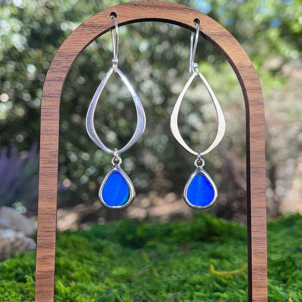 
                  
                    My Store Earrings Small Teardrop-Shaped Pendant Earrings on Earwire | Real Morpho Butterfly | Sterling Silver
                  
                