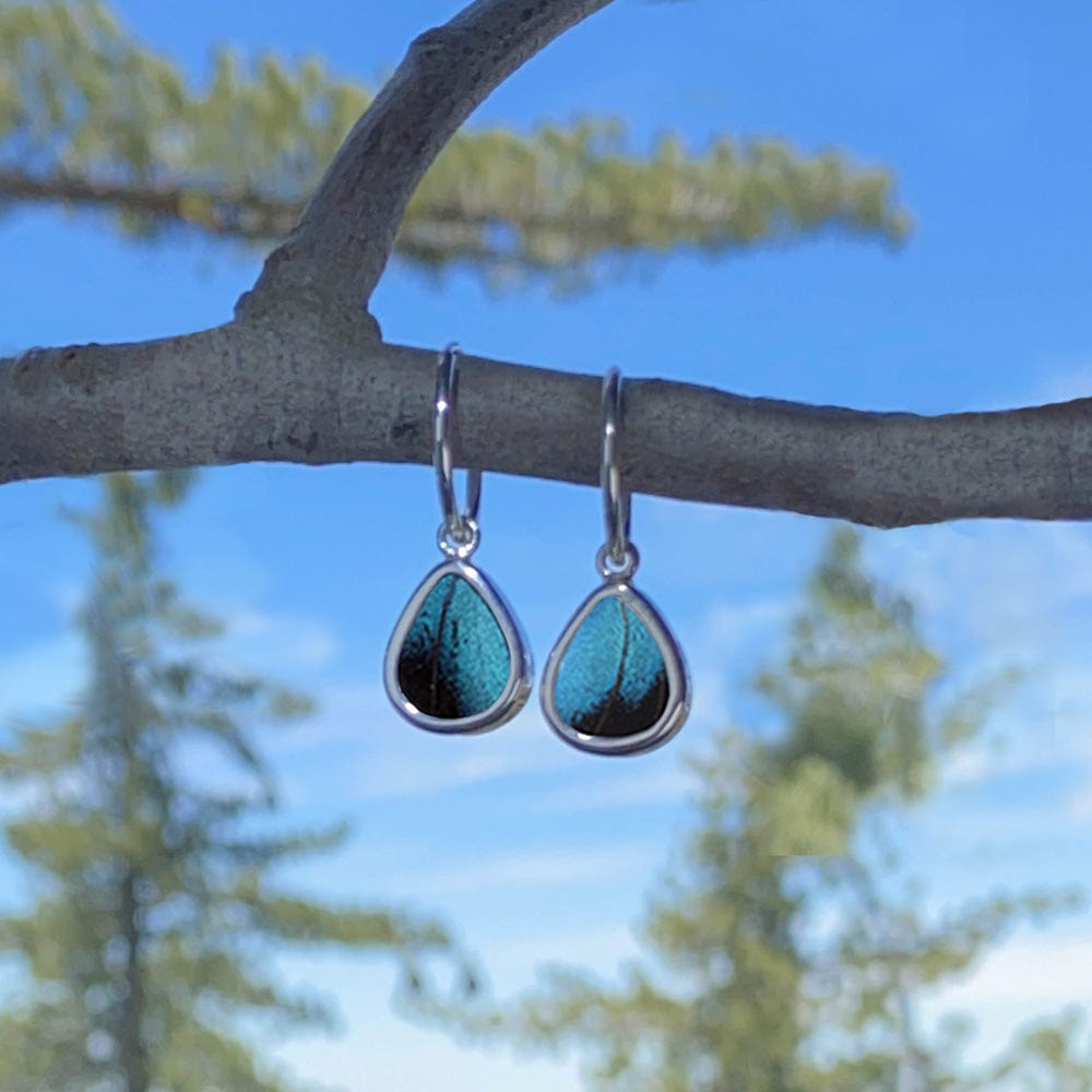 My Store Earrings Small Teardrop-Shaped Pendant Earrings on Endless Hoop | Real Morpho Achilles Butterfly | Sterling Silver