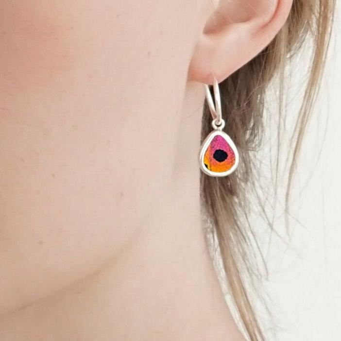 
                  
                    My Store Earrings Small Teardrop-Shaped Pendant Earrings on Endless Hoop | Real Urania Ripheus Butterfly - Sunburst Series | Sterling Silver
                  
                