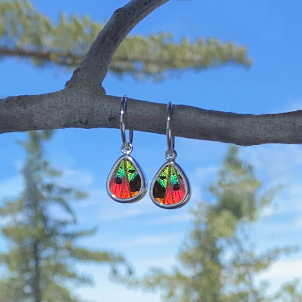 
                  
                    My Store Earrings Small Teardrop-Shaped Pendant Earrings on Endless Hoop | Real Urania Ripheus Butterfly - Sunset Series | Sterling Silver
                  
                