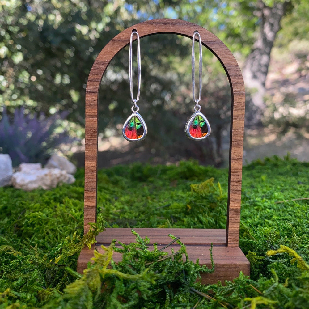 
                  
                    My Store Earrings Small Teardrop-Shaped Pendant Earrings on Link Post | Real Urania Ripheus Butterfly - Sunset Series | Sterling Silver
                  
                