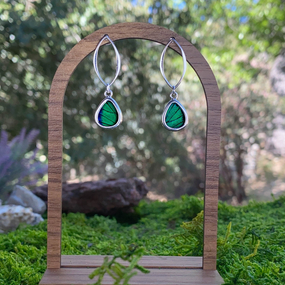 My Store Earrings Small Teardrop-Shaped Pendant Earrings on Marquise Post | Real Prepona Butterfly | Sterling Silver