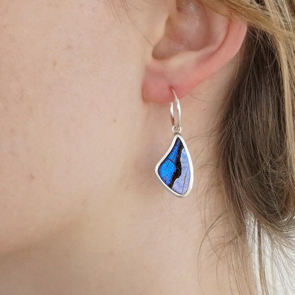 
                  
                    My Store Earrings Small Wing-Shaped Pendant Earrings on Endless Hoop | Real Morpho & Sulkowskyi Butterflies | Sterling Silver
                  
                