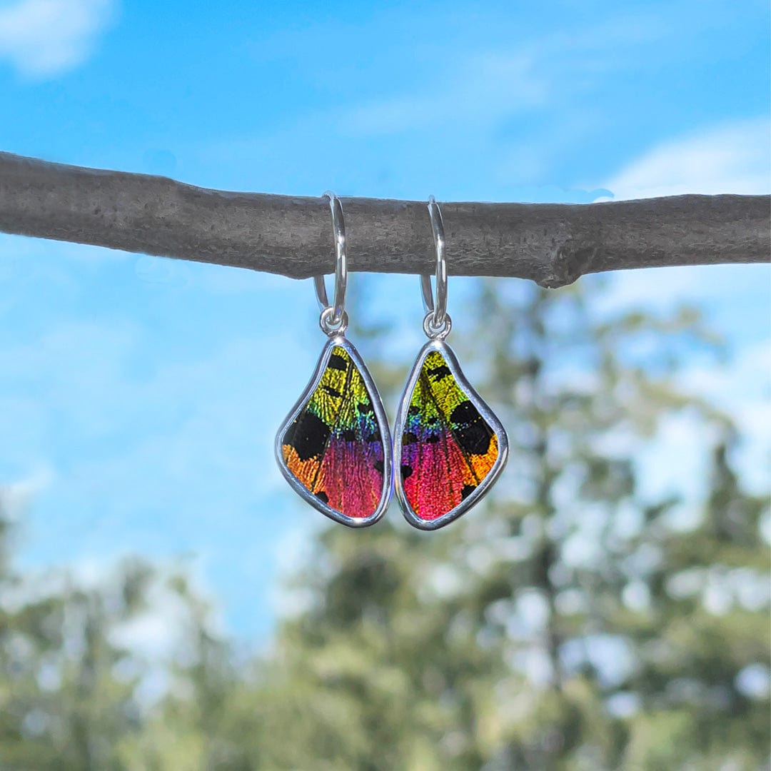 My Store Earrings Small Wing-Shaped Pendant Earrings on Endless Hoop | Real Urania Ripheus Butterfly - Sunset Series | Sterling Silver