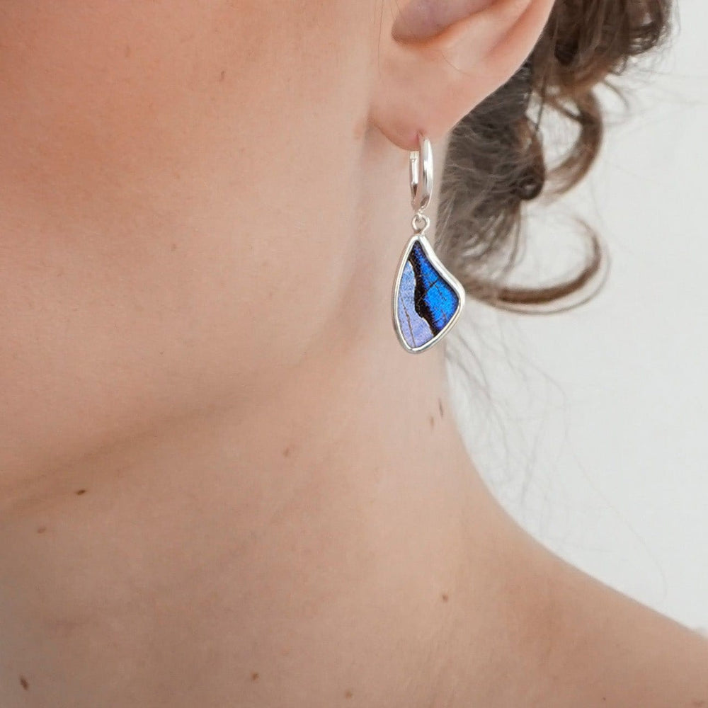 
                  
                    My Store Earrings Small Wing-Shaped Pendant Earrings on Leverback | Real Morpho & Sulkowskyi Butterflies | Sterling Silver
                  
                