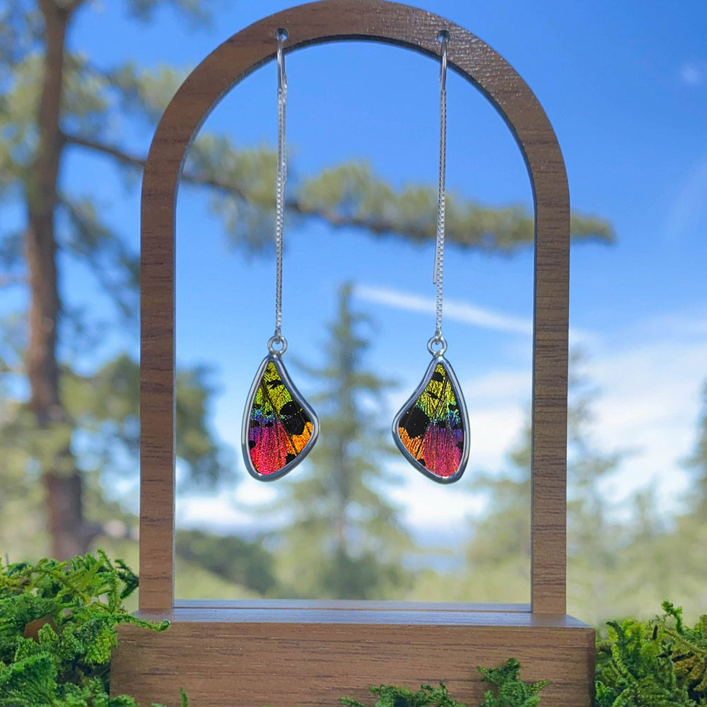 
                  
                    My Store Earrings Small Wing-Shaped Real Butterfly Pendant on Sterling Silver Threader | Real Urania Ripheus Butterfly Wings - Sunset Series
                  
                