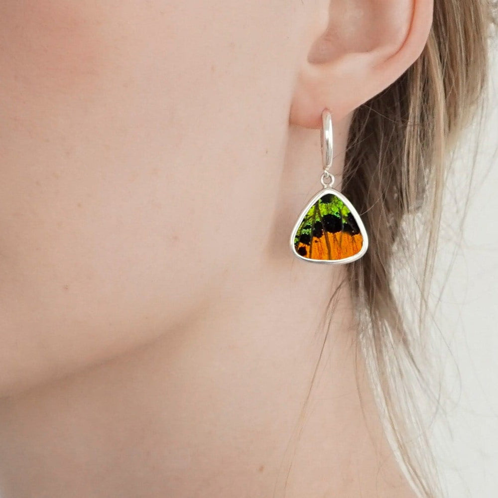 
                  
                    My Store Earrings Triangle Pendant Earrings on Leverback | Real Urania Ripheus Butterfly - Sunrise Series | Sterling Silver
                  
                