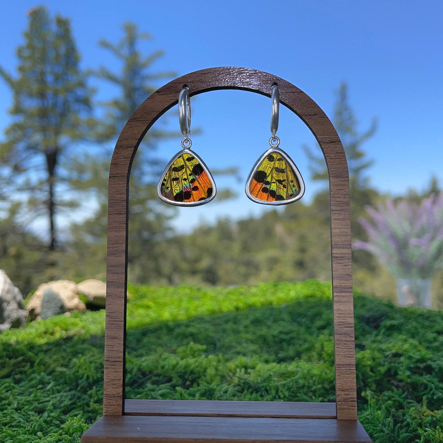 My Store Earrings Triangle Pendant Earrings on Leverback | Real Urania Ripheus Butterfly - Sunrise Series | Sterling Silver
