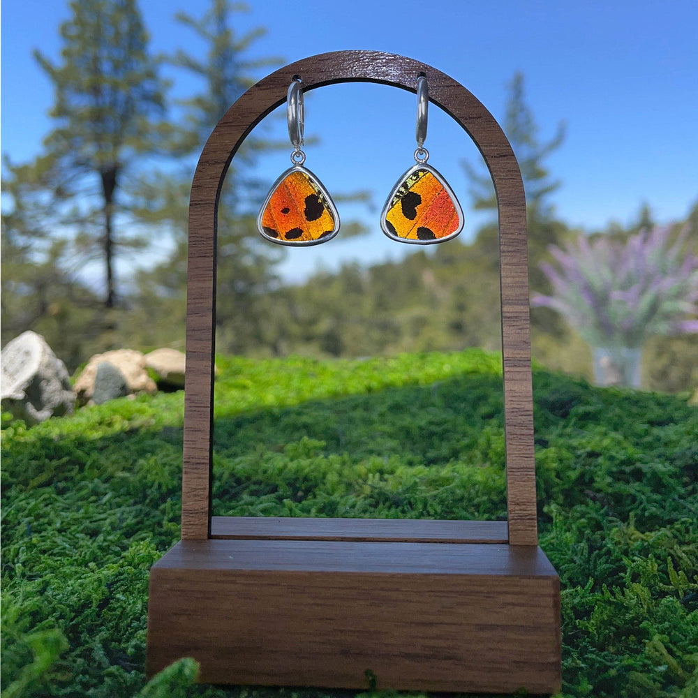 
                  
                    My Store Earrings Triangle Pendant Earrings on Leverback | Real Urania Ripheus Butterfly - Sunset Series | Sterling Silver
                  
                