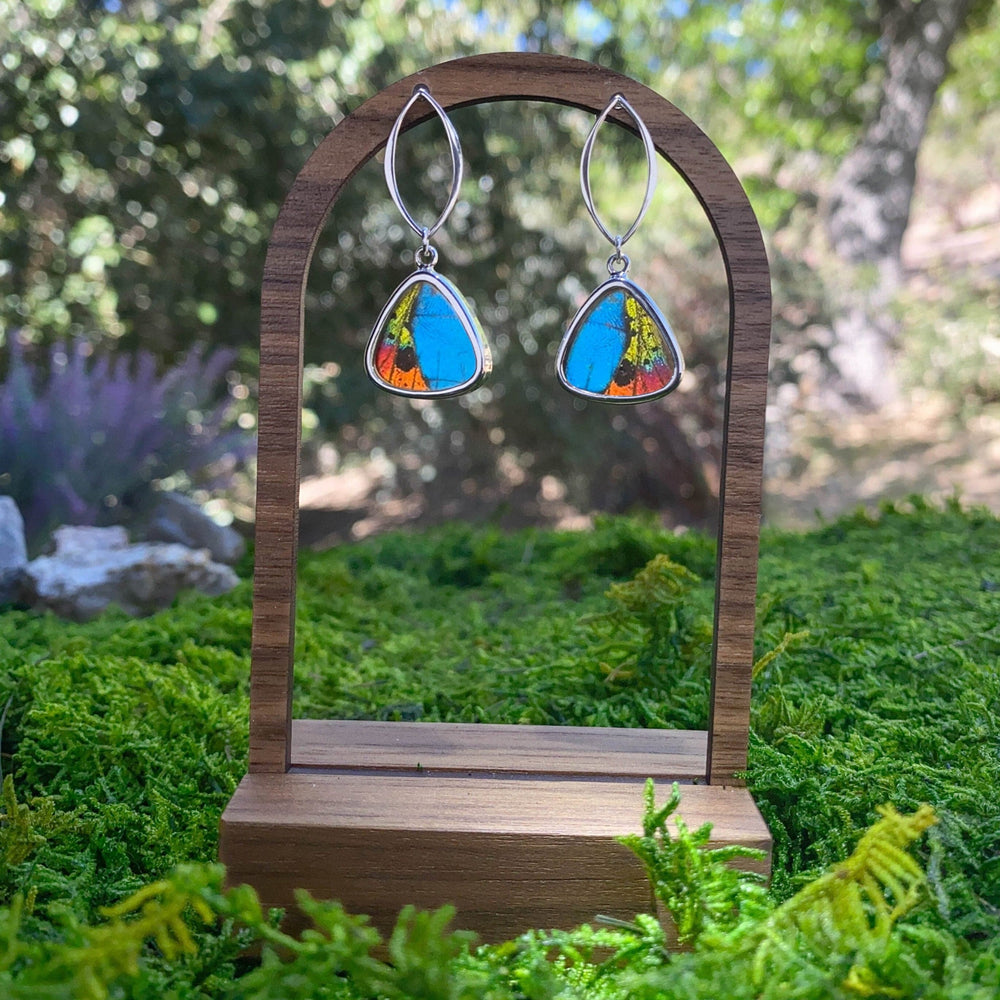 
                  
                    My Store Earrings Triangle Pendant Earrings on Marquise Post | Real Urania Ripheus and Morpho Butterfly | Sterling Silver
                  
                