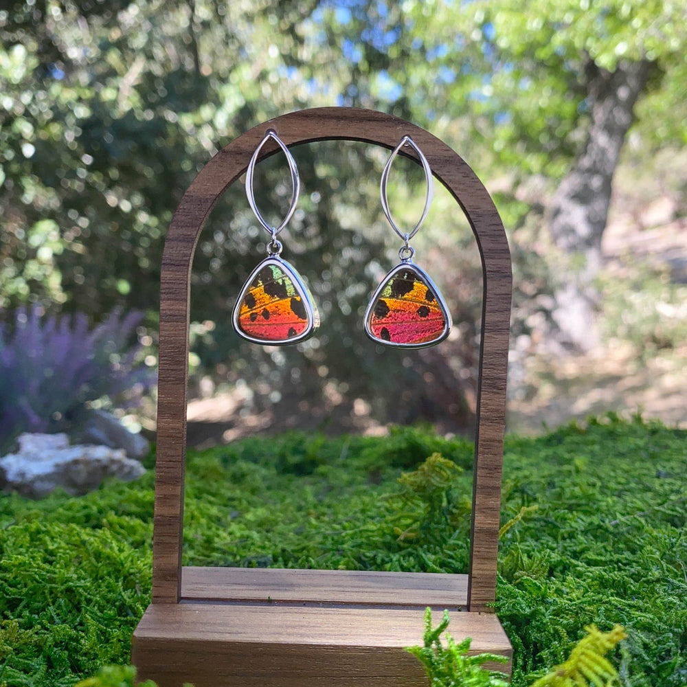
                  
                    My Store Earrings Triangle Pendant Earrings on Marquise Post | Real Urania Ripheus Butterfly - Sunset Series | Sterling Silver
                  
                
