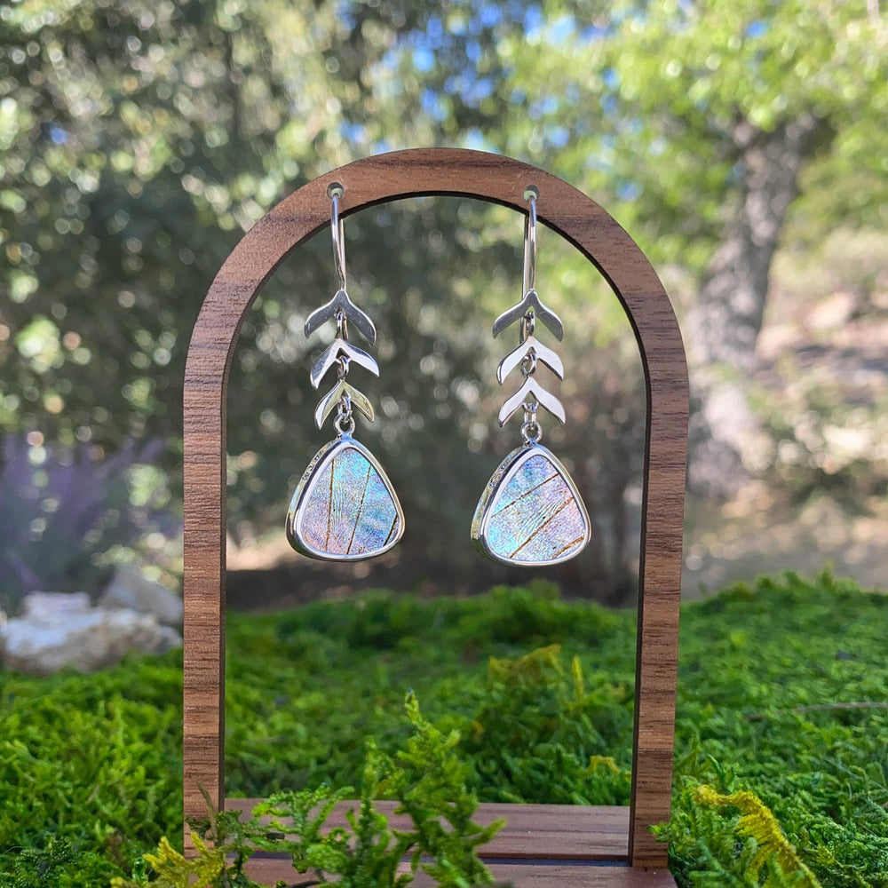 
                  
                    Sterling silver earrings made from genuine real butterfly wings. Photo highlights natural patterns and delicate craftsmanship, perfect for butterfly jewelry lovers.
                  
                