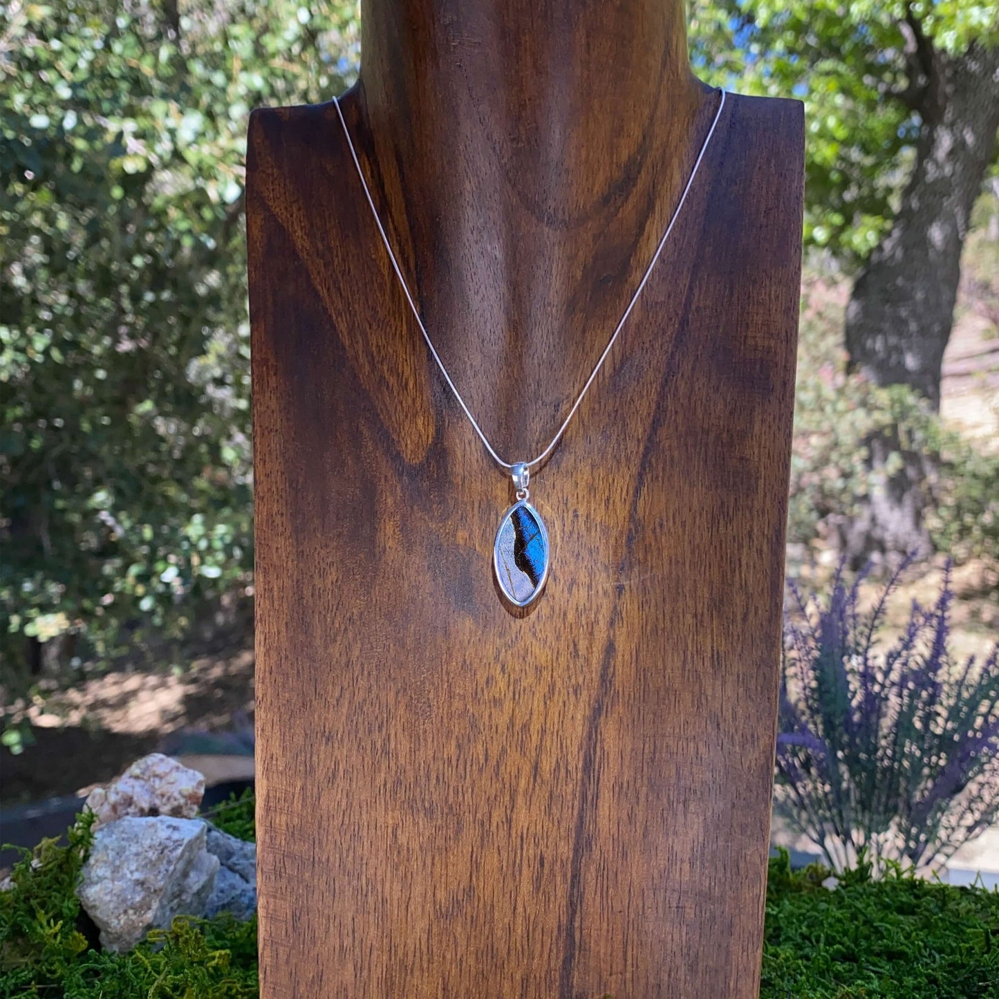 My Store Necklace Combo Real Morpho And Morpho Sulkowskyi Butterfly Oval Pendant Necklace With Your Choice Of Sterling Silver Chain Length And Style