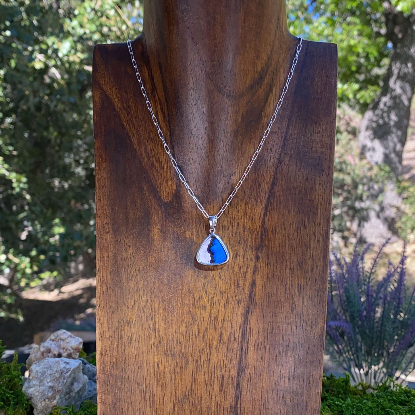 My Store Necklace Combo Real Morpho And Morpho Sulkowskyi Butterfly Triangle Shaped Pendant Necklace With Your Choice Of Sterling Silver Chain Length And Style