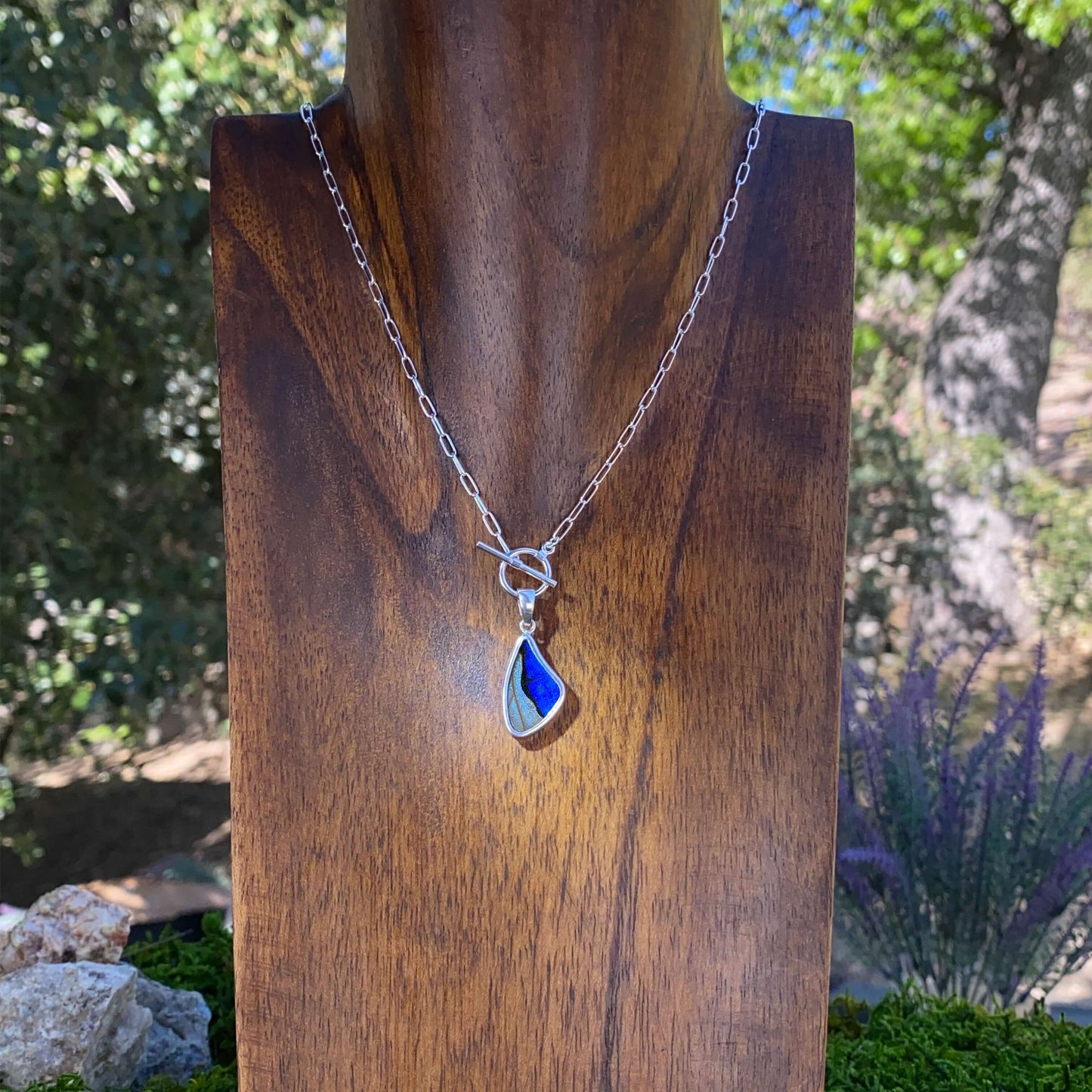 My Store Necklace Combo Real Morpho Sulkowskyi And Morpho Butterfly Small Wing Shaped Pendant Necklace With Your Choice Of Sterling Silver Chain Length And ...