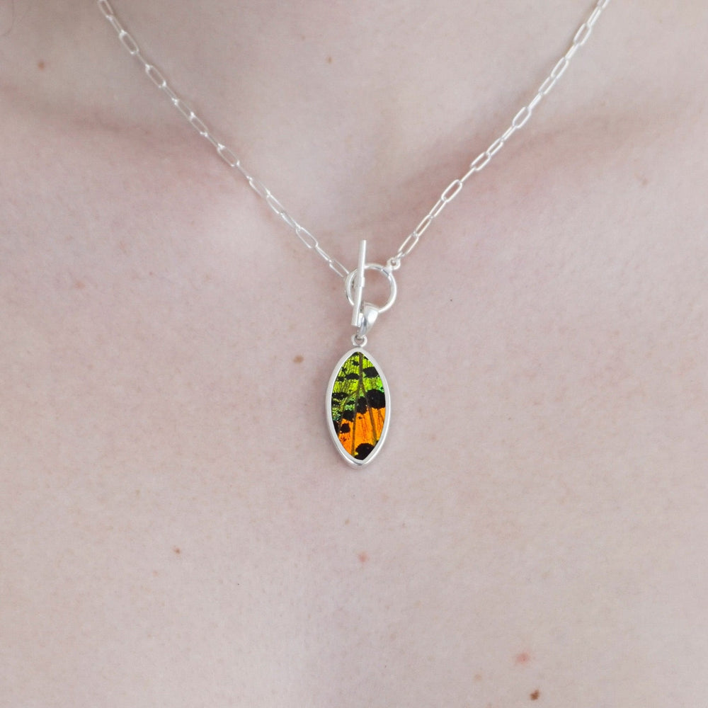 
                  
                    My Store Necklace Oval Pendant Necklace | Real Urania Ripheus Butterfly - Sunrise Series | Sterling Silver
                  
                