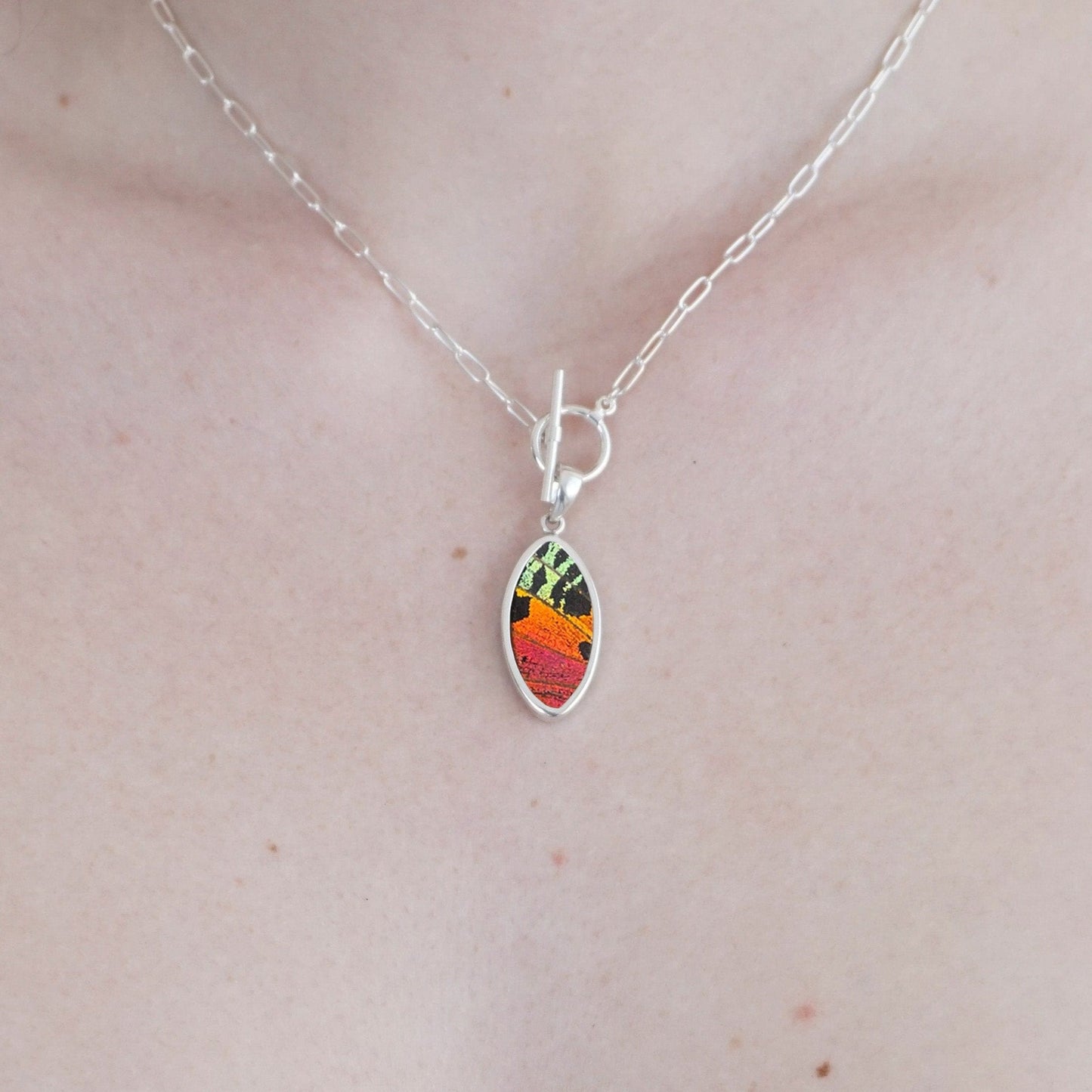 My Store Necklace Oval Pendant Necklace | Real Urania Ripheus Butterfly - Sunset Series | Sterling Silver