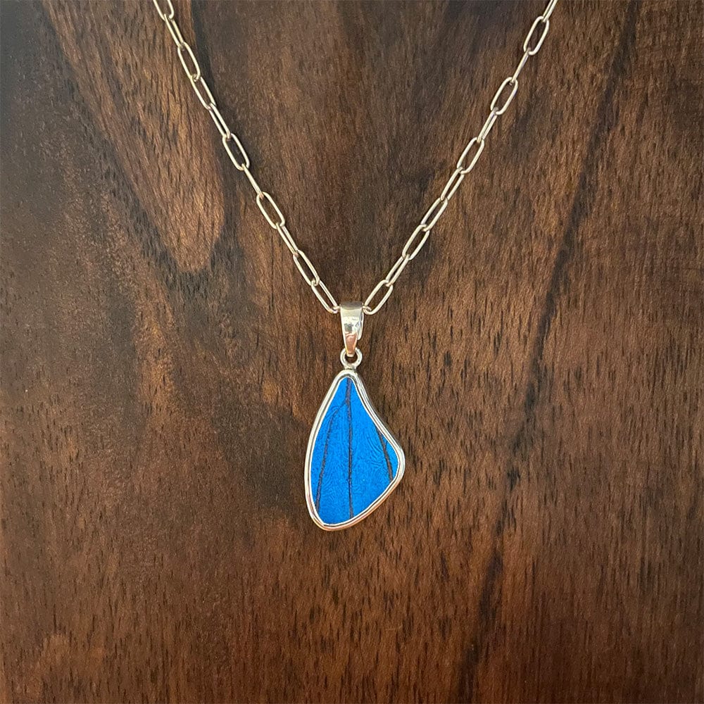 
                  
                    My Store Necklace Paperclip Chain / 16 in Medium Wing-Shaped Pendant Necklace | Real Morpho Butterfly | Sterling Silver
                  
                